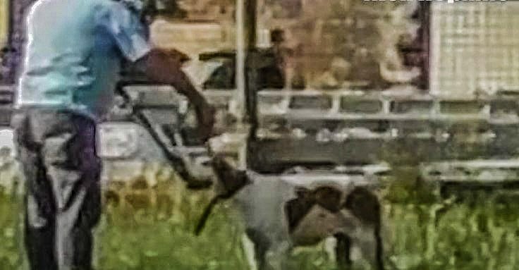 A picture containing text, grass, outdoor Description automatically generated