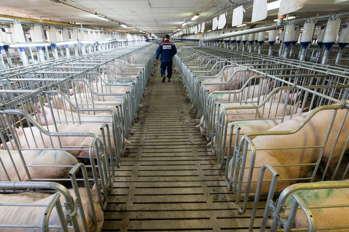 Photo By Mark Agnor via Shutterstock (Royalty-free stock photo ID: 472100659)